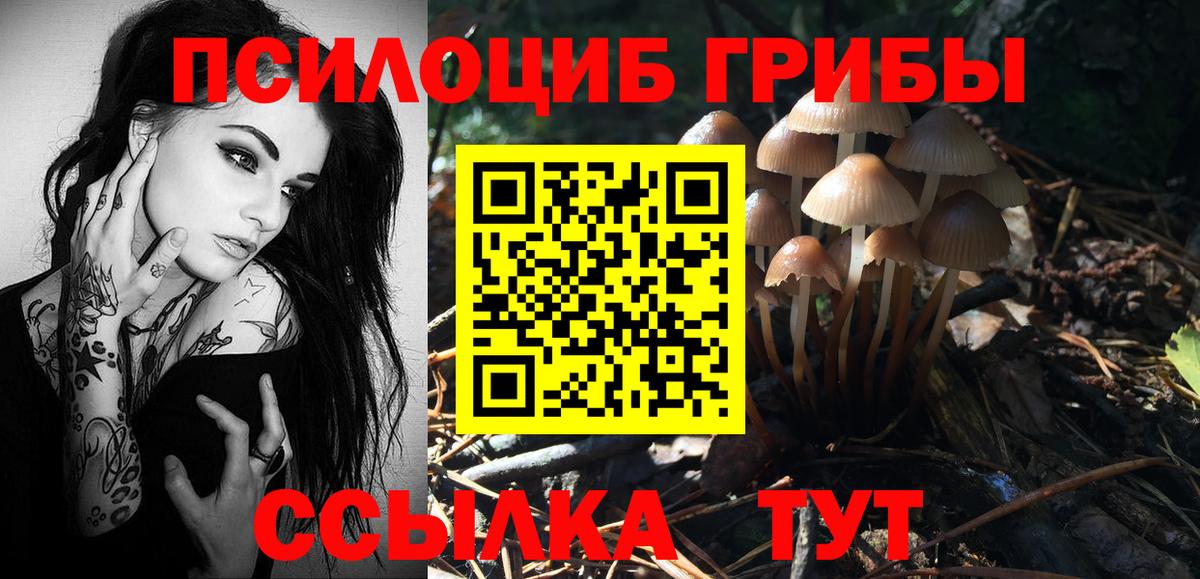Ковров  где найти   Галлюциногенные грибы мицелий  Вход с VPN  Галлюциногенные грибы Cubensis 