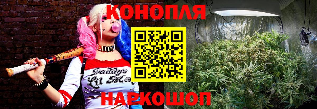 Бошки Шишки тримм Ковров